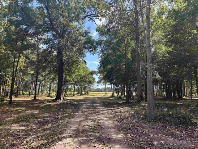 Photo of Listing #2524531