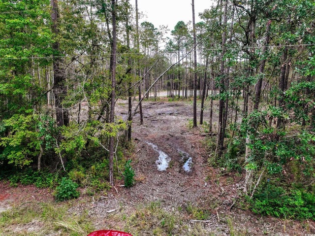 Photo of Listing #2525021