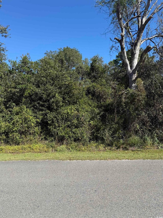 Photo of Listing #2525685