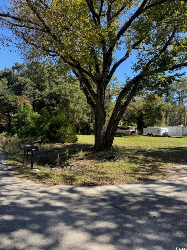 Photo of Listing #2525846