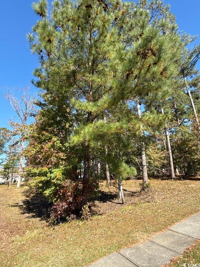 Photo of Listing #2527417