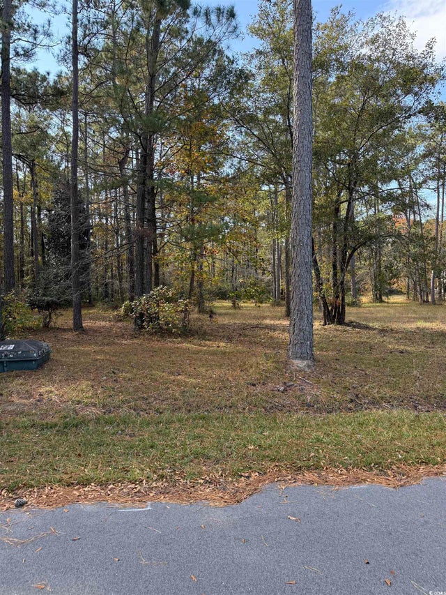 Photo of Listing #2528259