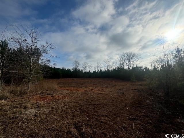 Photo of Listing #2600526