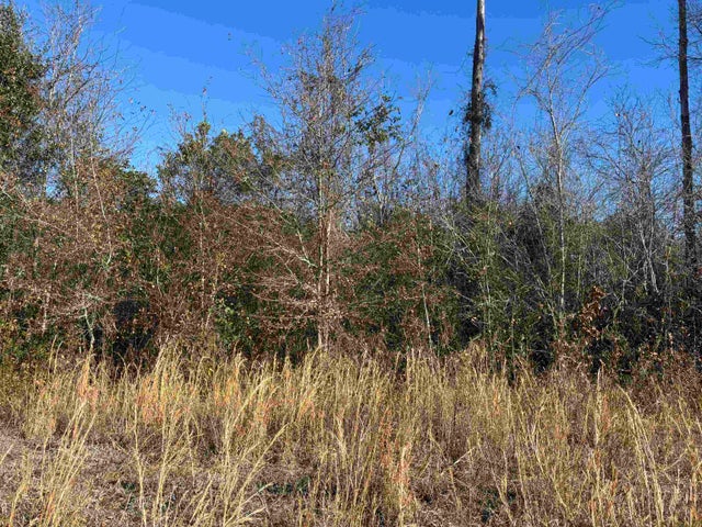 Photo of Listing #2601771