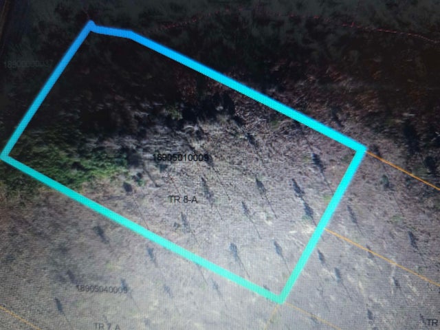 Photo of Listing #2602507