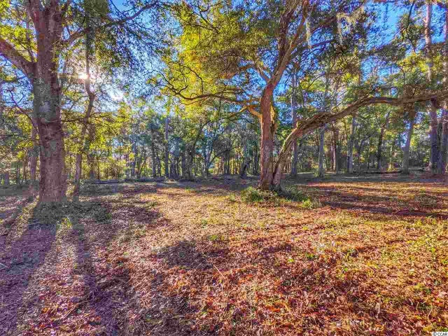 Photo of Listing #1805404