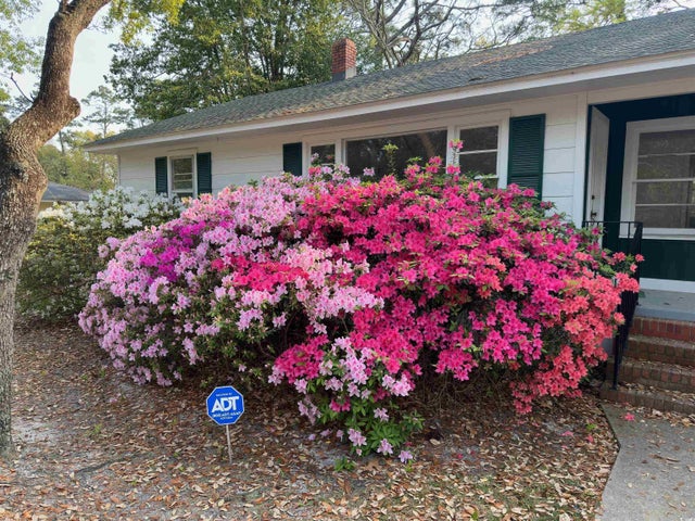 Photo of Listing #2526445