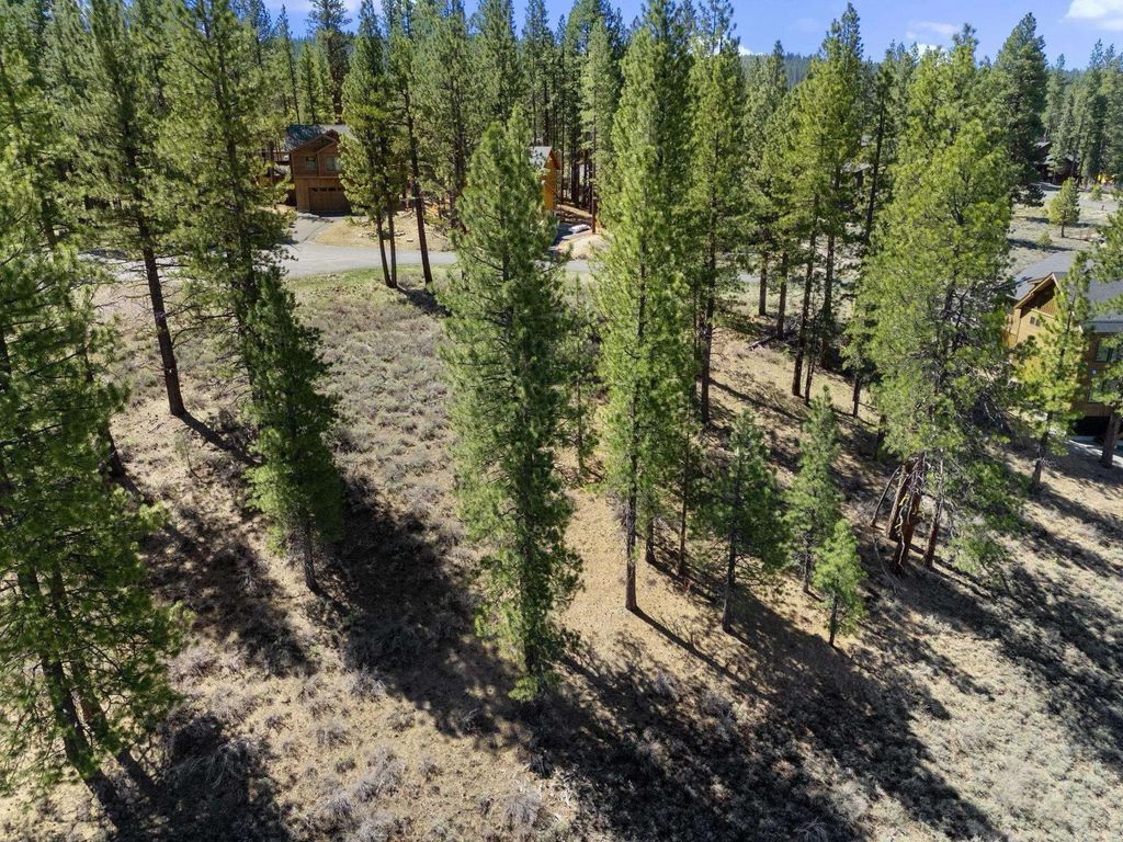 10668 Winchester Court, Truckee