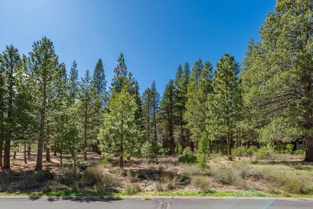 11850 Bottcher Loop, Truckee