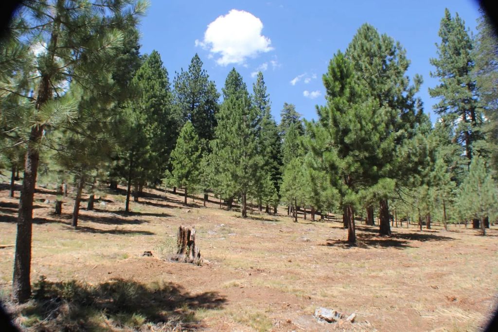 10735 Dogwood, Truckee