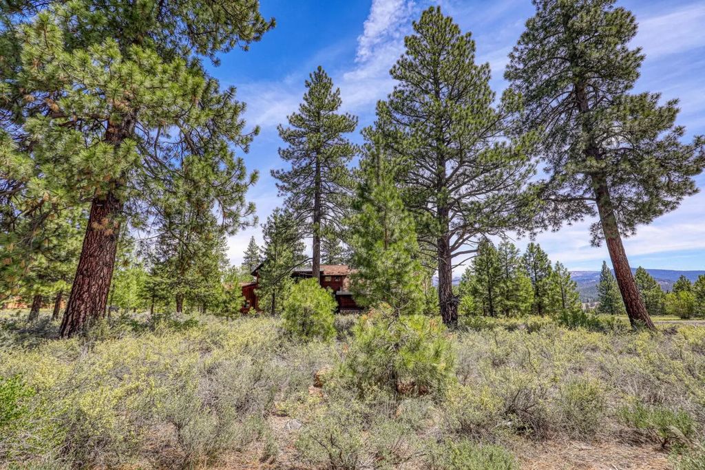 12447 Settlers Lane, Truckee