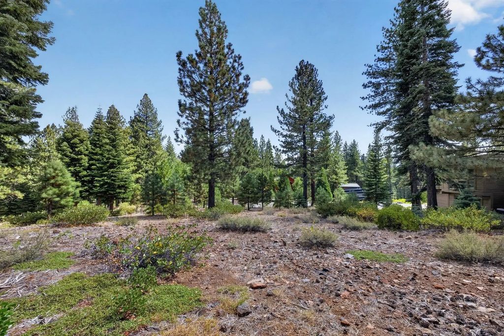 11918 Saddleback Drive, Truckee
