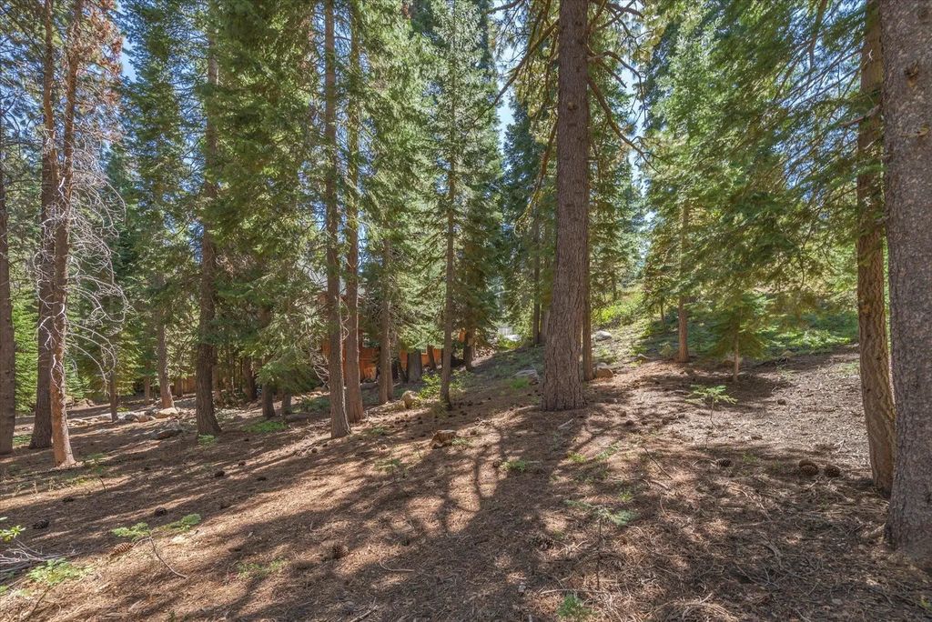 14590 Copenhagen Drive, Truckee