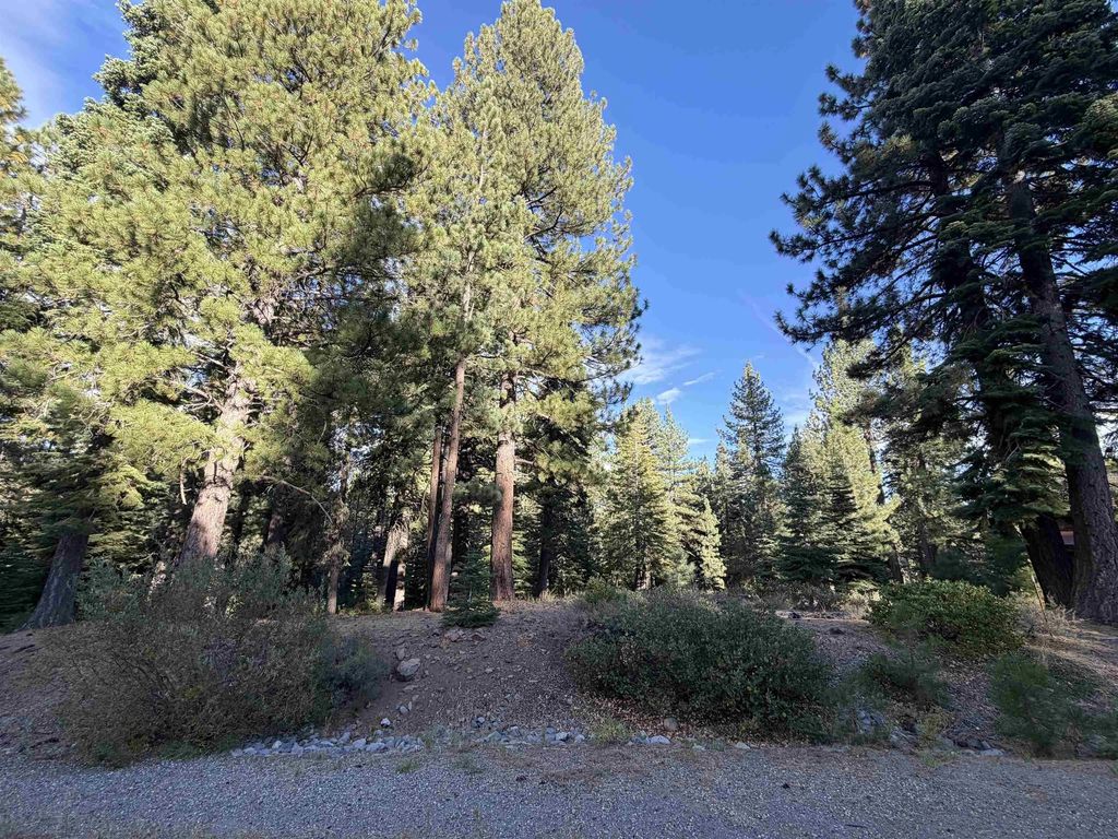 11853 Saddleback Drive, Truckee