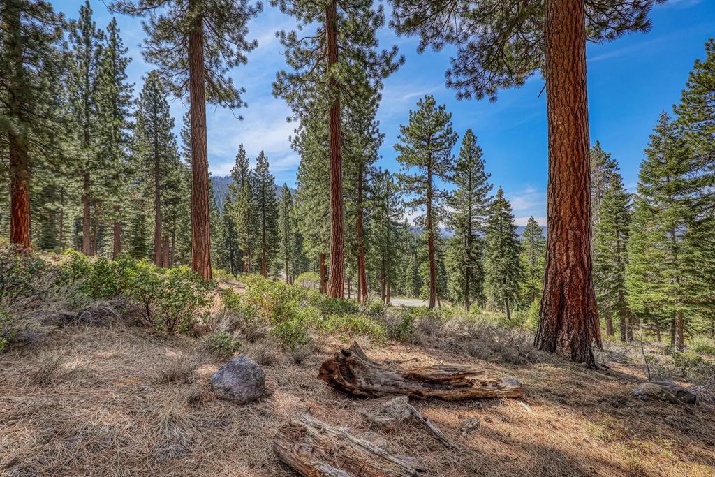 2790 Cross Cut Court, Truckee