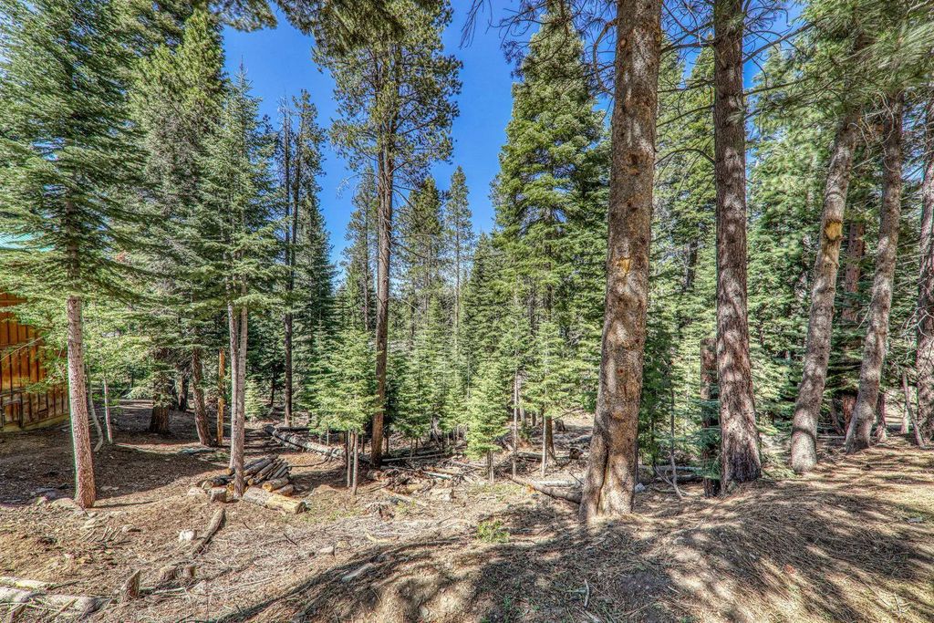 10902 Laurelwood Drive, Truckee