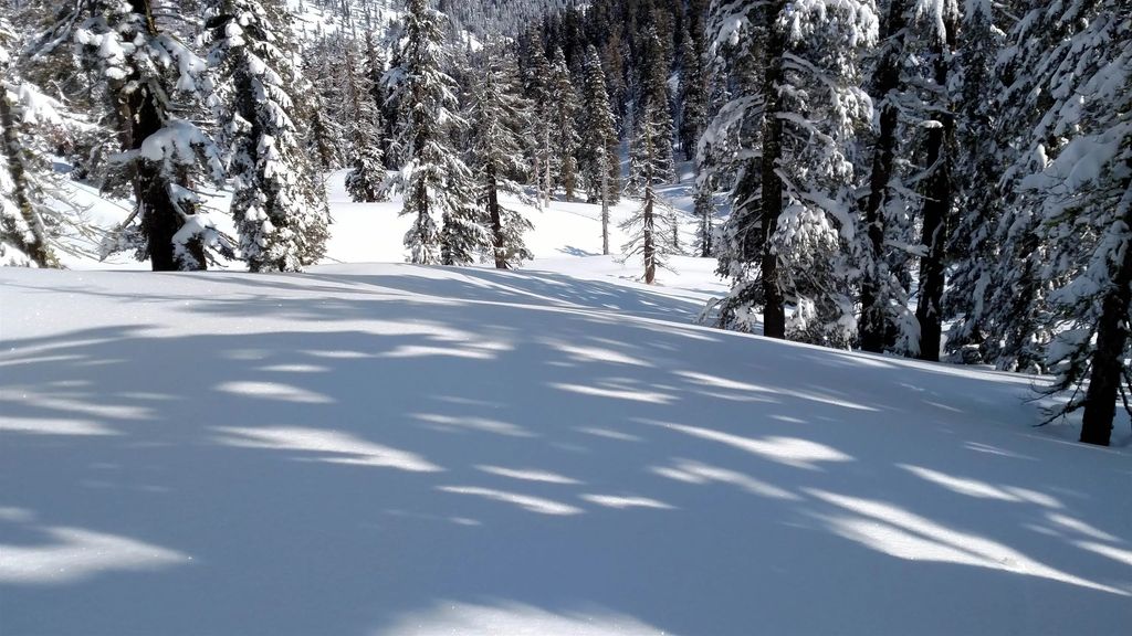 2090 Chalet Road #2, Alpine Meadows