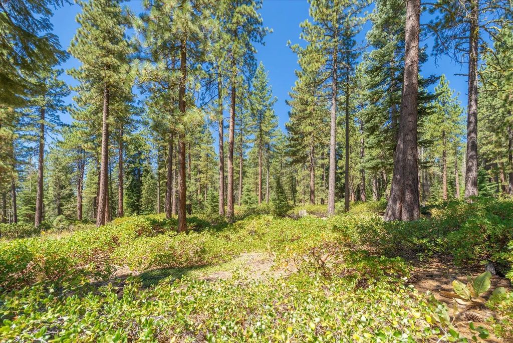12134 Lamplighter Way, Truckee