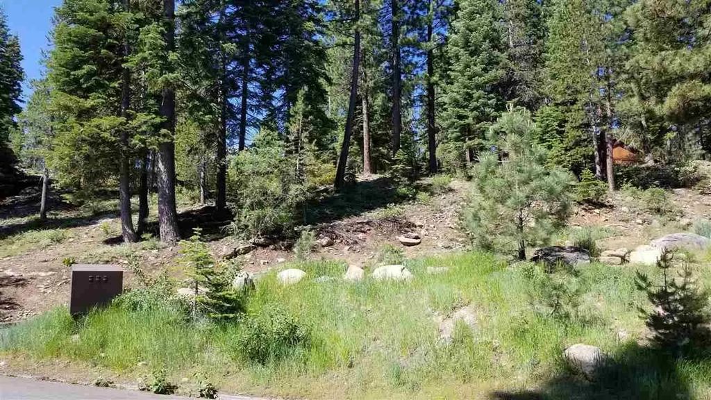 12574 Saint Moritz Lane, Truckee