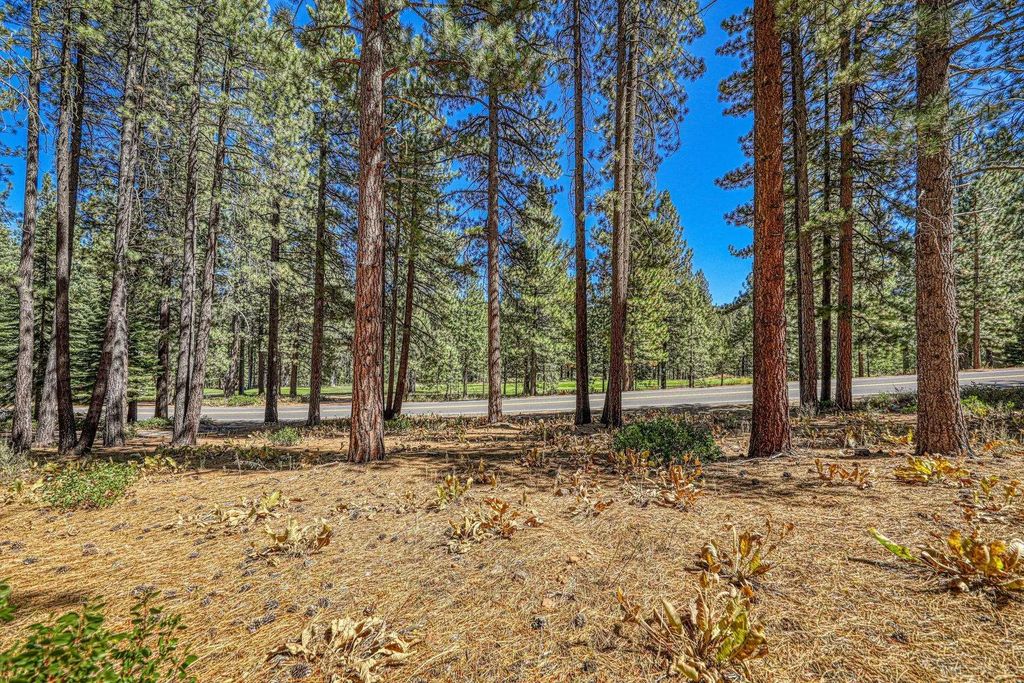 139 Basque, Truckee