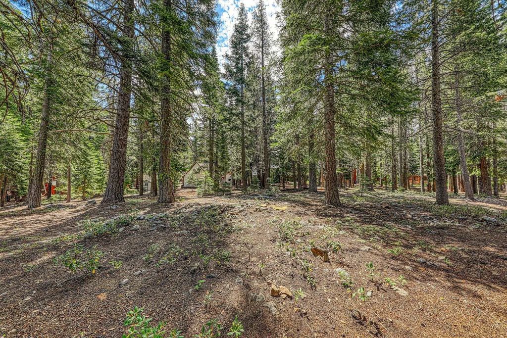 15753 Northwoods Boulevard, Truckee