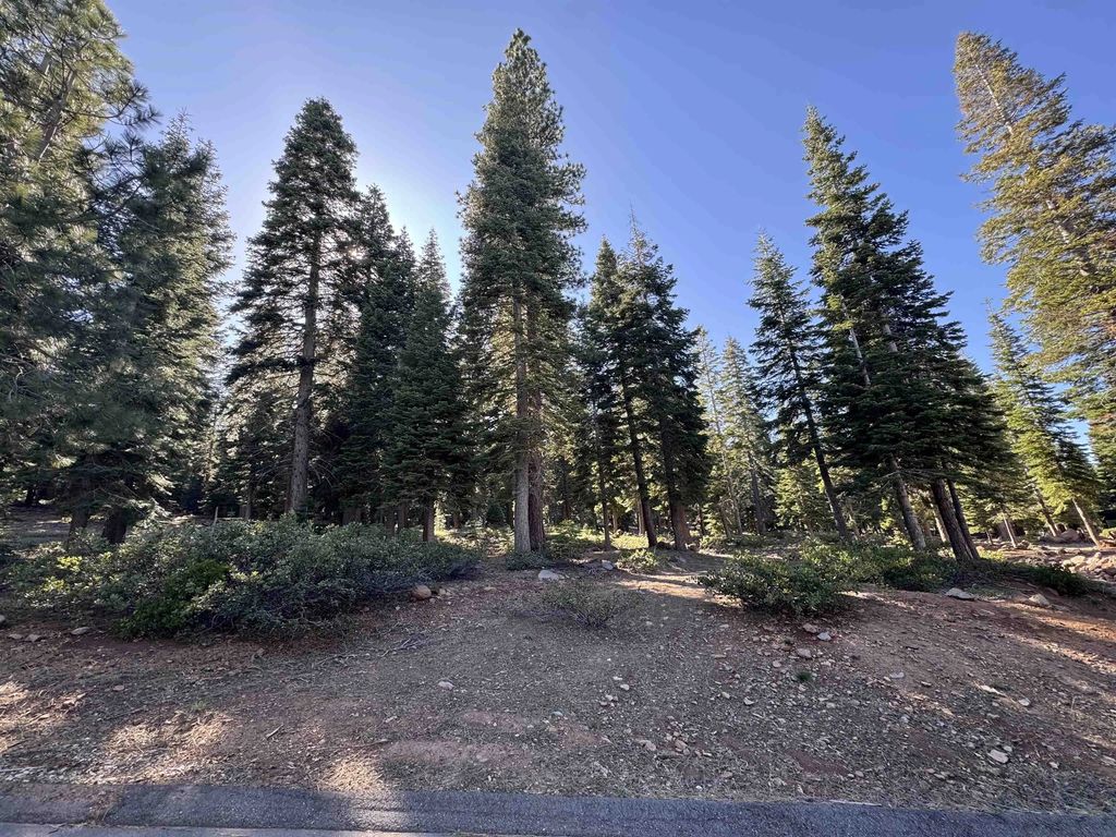 9158 Tarn Circle, Truckee