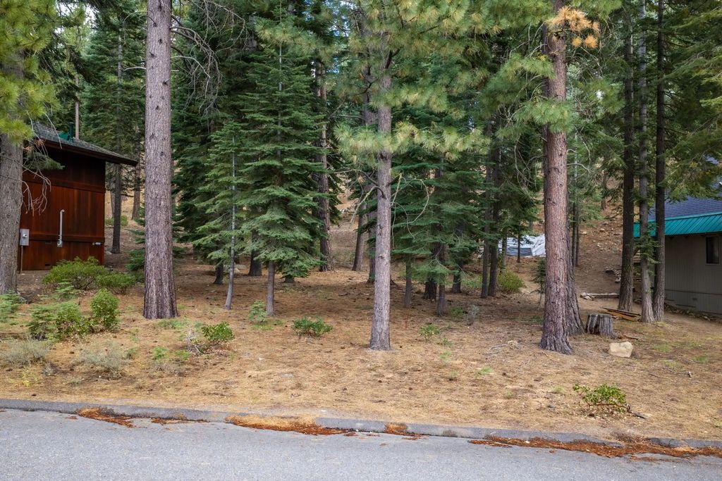 1080 Martis Landing, Truckee