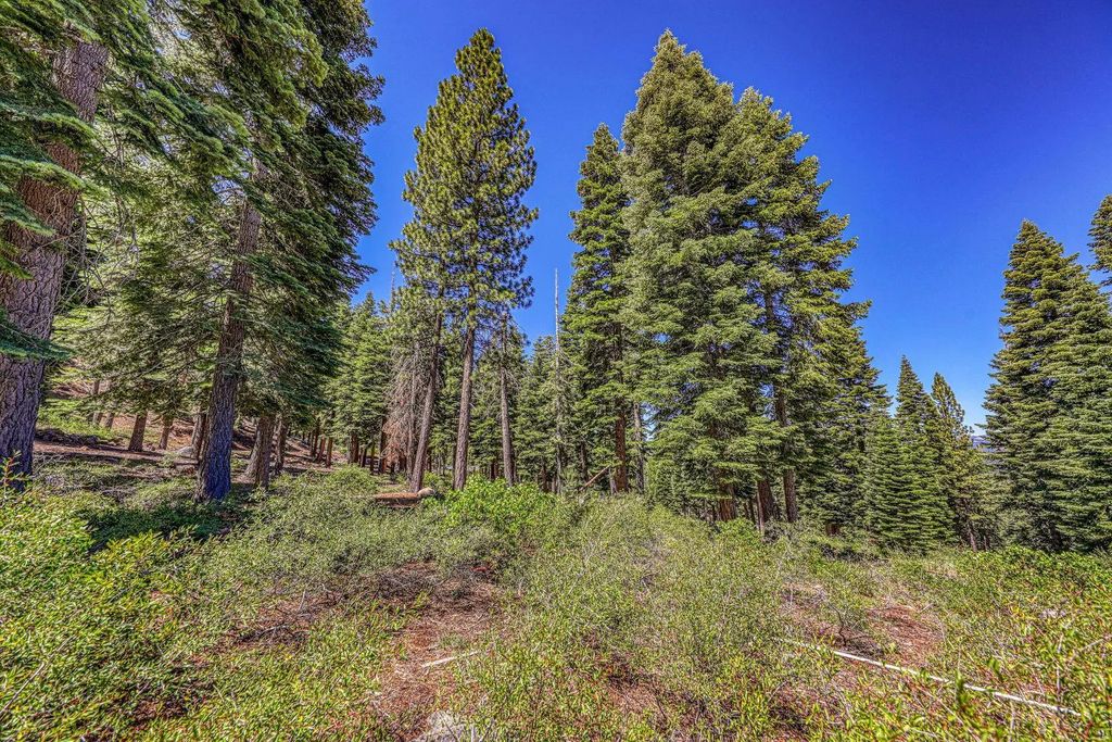 2620 Mill Site Road, Truckee