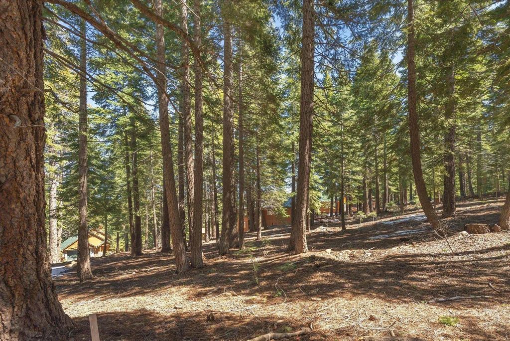 14059 Pathway Avenue, Truckee