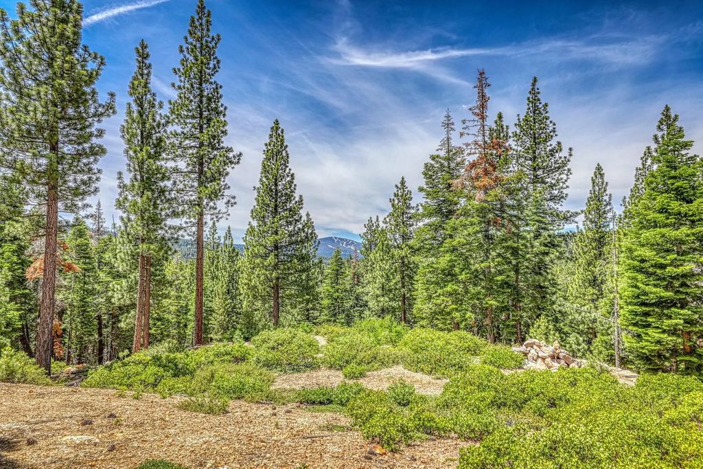 16145 Martis Peak Road, Truckee