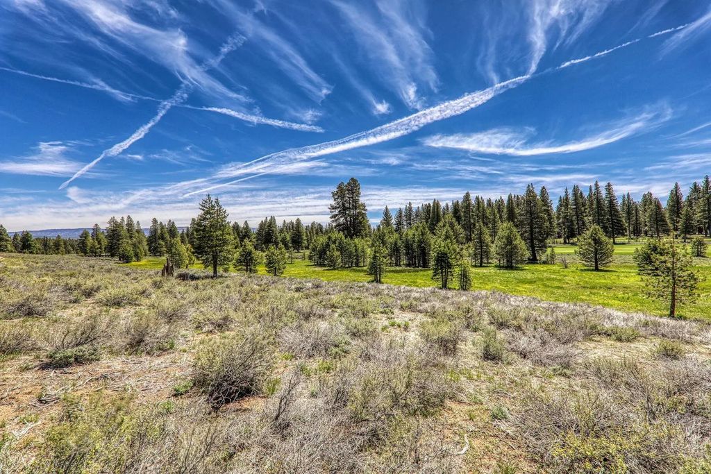 10800 Ghirard Court, Truckee