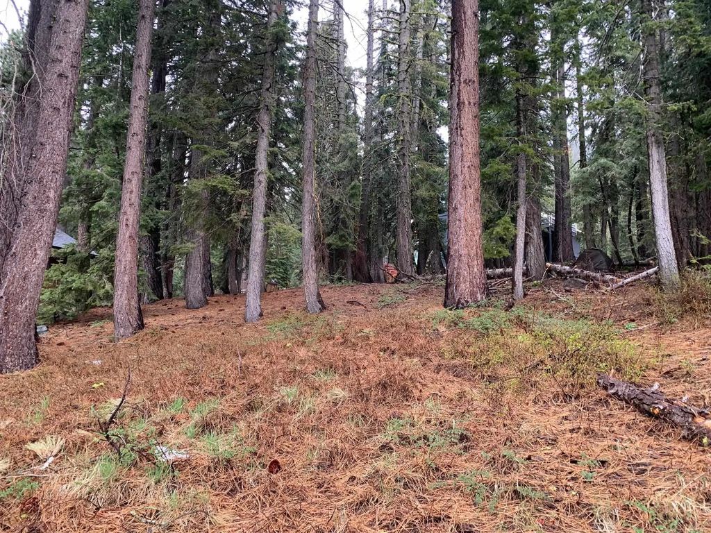 4036 Courchevel Road, Tahoe City