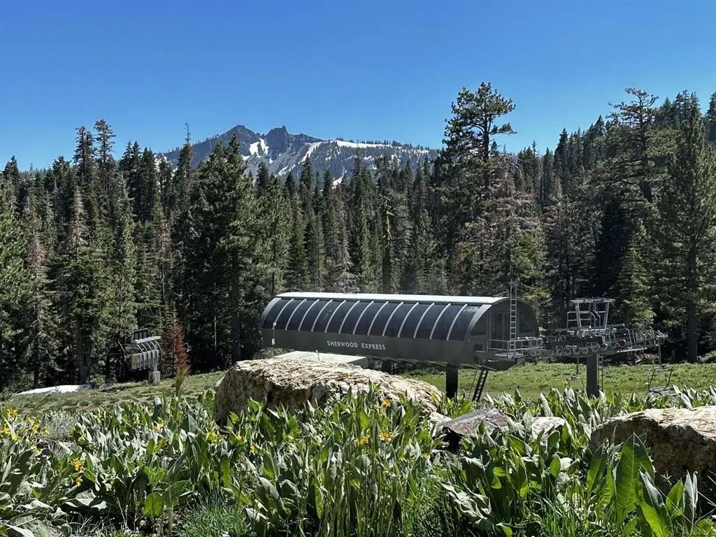 970 Ward Creek Blvd, Tahoe City