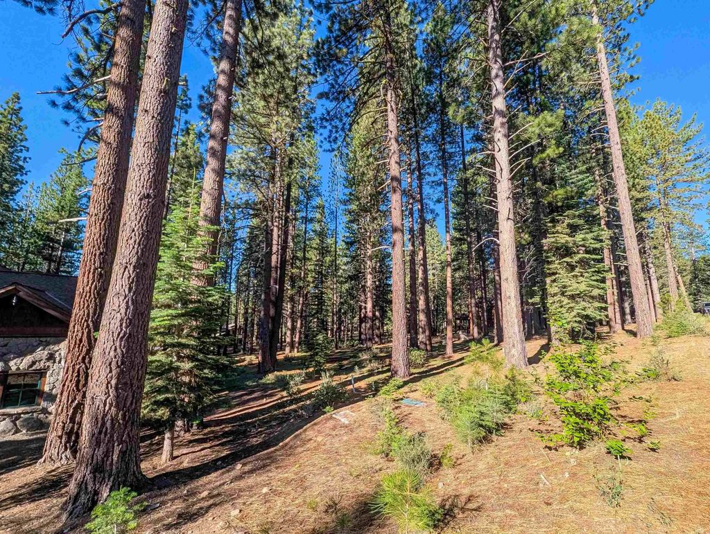 11561 Bottcher Loop, Truckee
