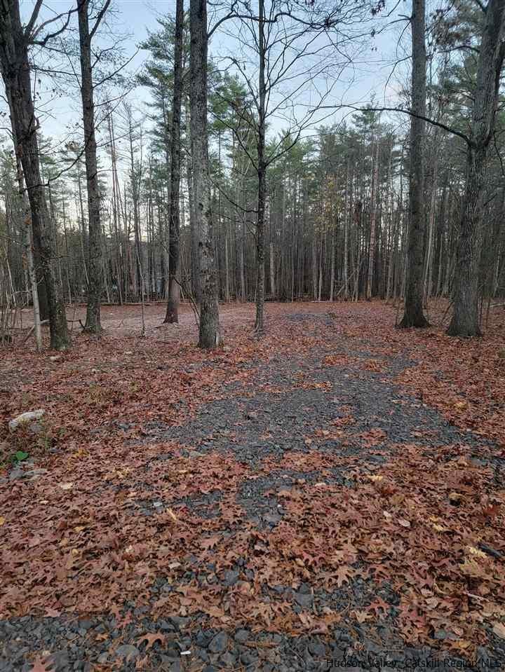 7 Blackhead Mountain Road Round Top NY 12473 For Sale Coldwell Banker Village Green Realty