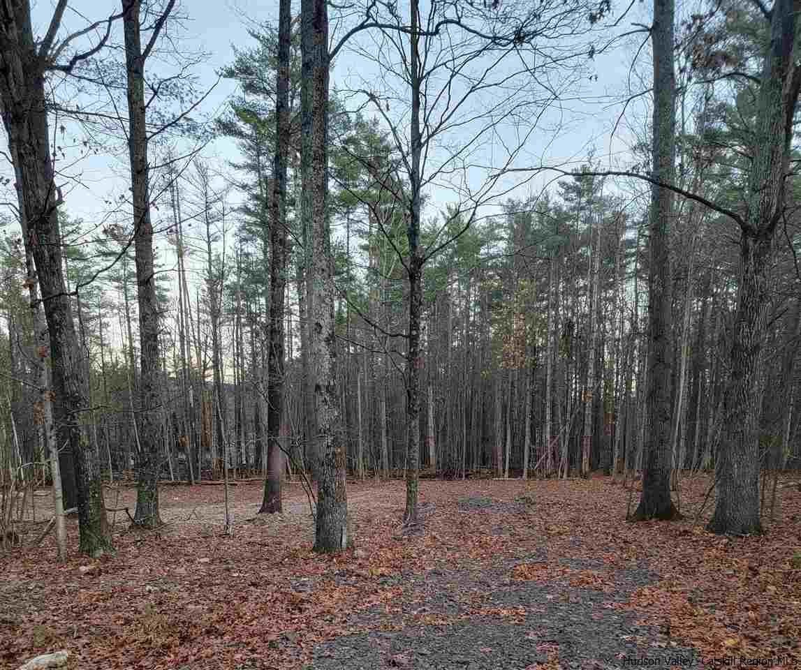 7 Blackhead Mountain Road Round Top NY 12473 For Sale Coldwell Banker