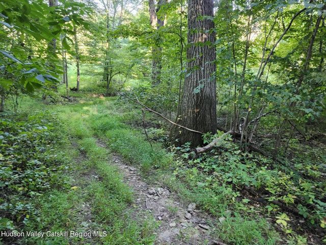 188 Old Stage Road, Saugerties
