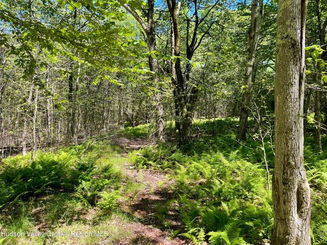 3045 Red Hill Road, Grahamsville