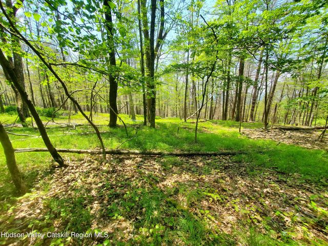 Tbd Piney Lane, Cragsmoor