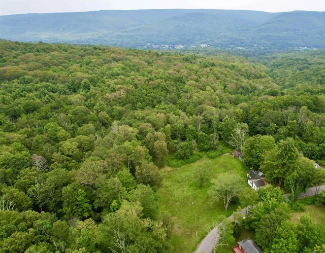 595-599 Oak Ridge Road, Ellenville