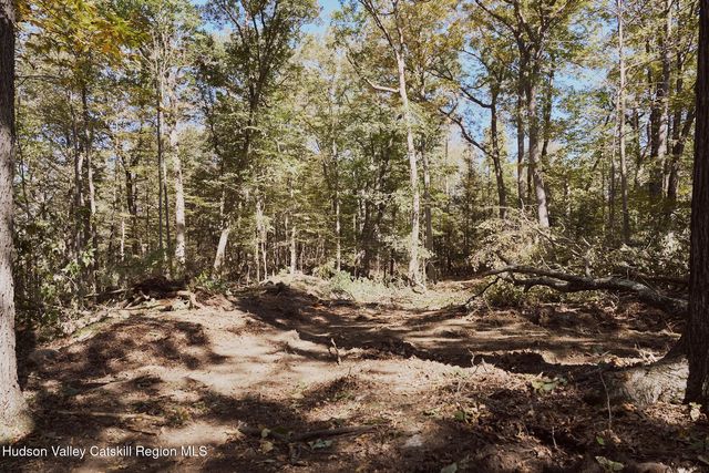 Lot 5 Flatbush Avenue, Kingston