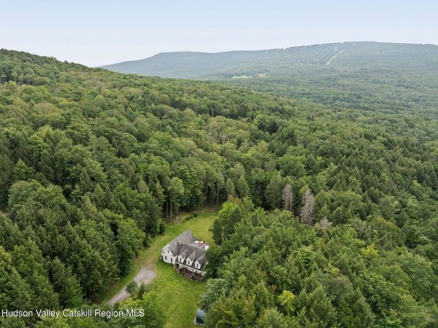 395 Roaring Brook Lane, Pine Hill