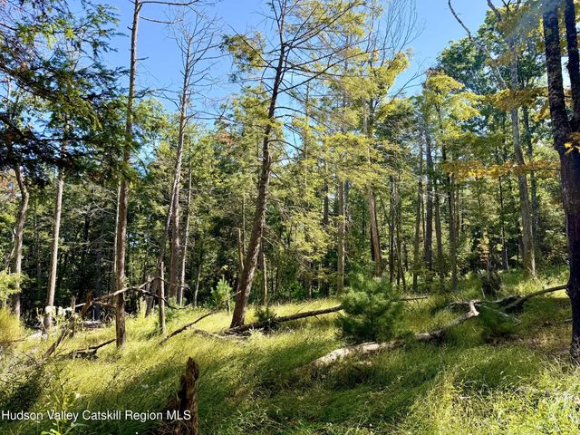 Lot 8 Brandy Brook Road, Napanoch