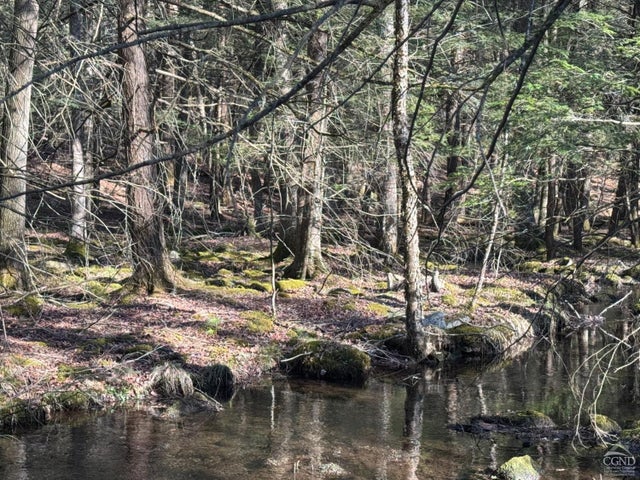 46 Pine Grove Rd, Kerhonkson