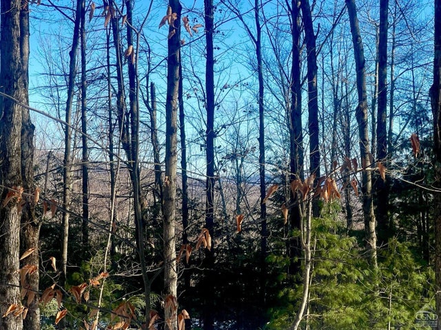 Tower Mountain Road, Jewett