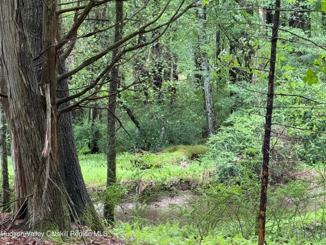 00 Whites Lane, Woodstock