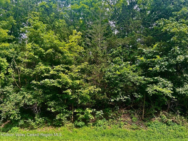 980 N Quaker Lane, Staatsburg