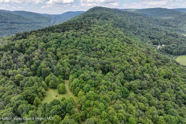 821 Berry Brook Road, Roscoe