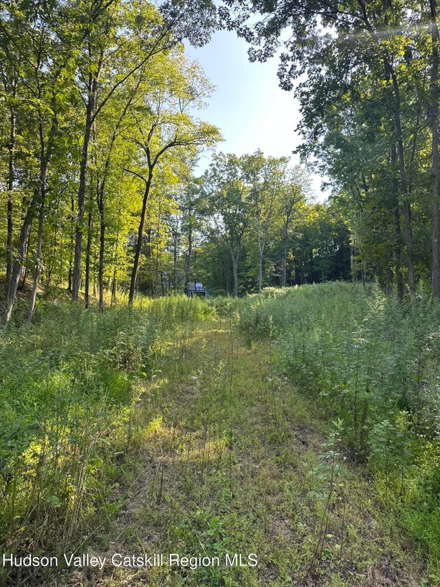 419 Cauterskill Avenue, Catskill