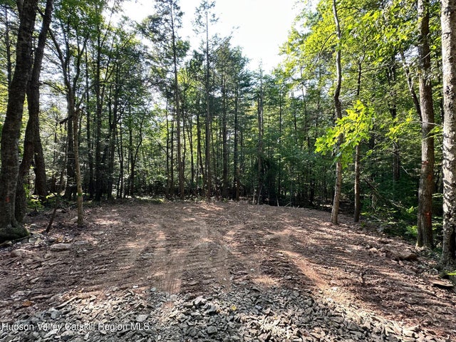 5305 Route 212, Mount Tremper